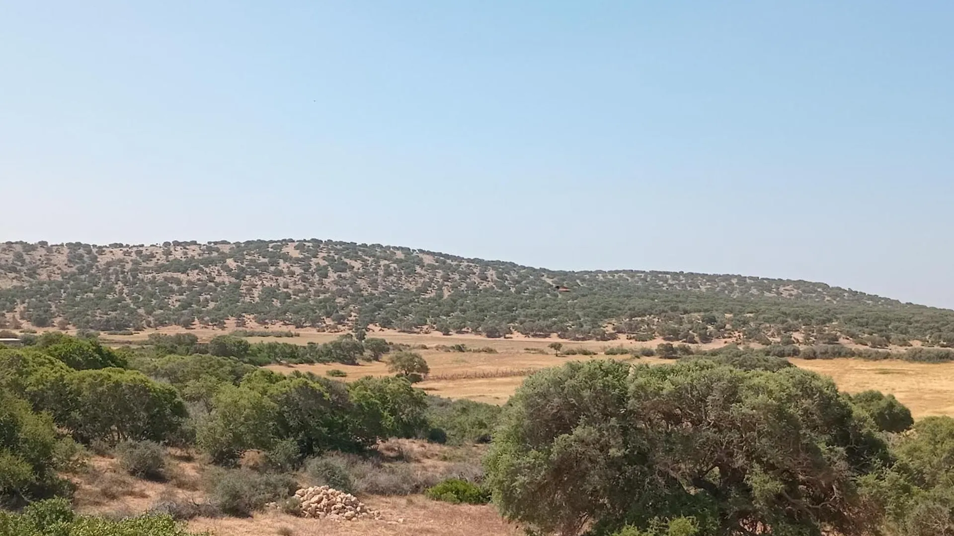 אסאוירה Kaouki Zen Lodge מרוקו